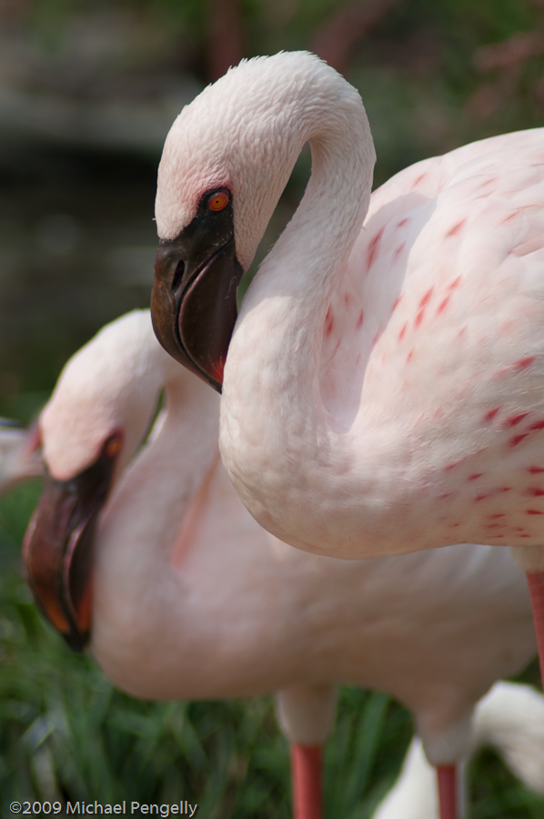 Cleveland Metroparks Zoo Labor Day