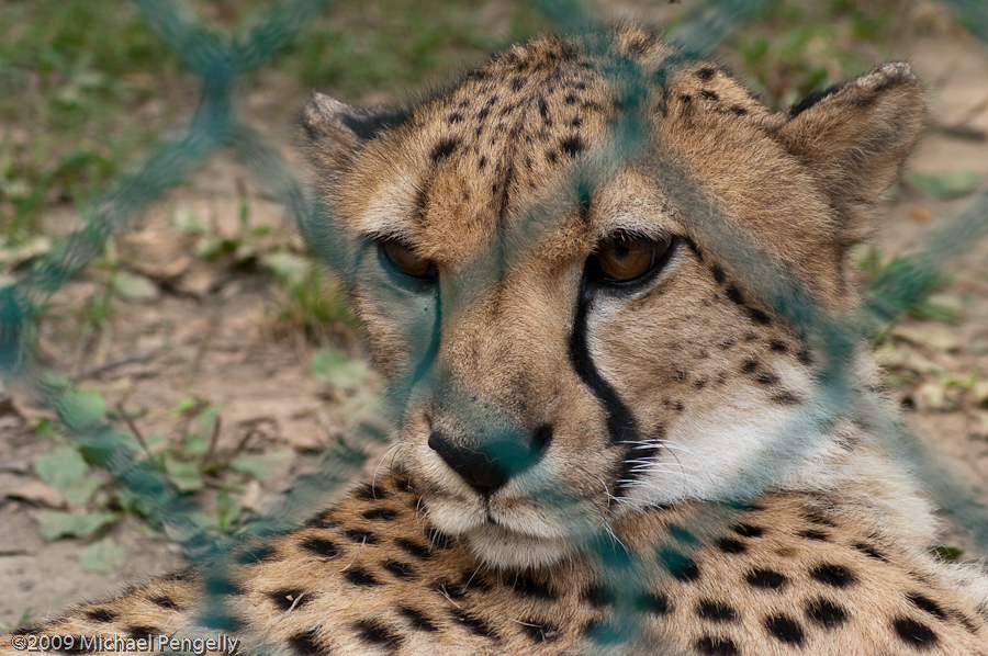 Cleveland Metroparks Zoo Labor Day